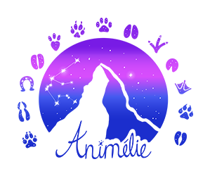 Animelie - Ostéopathe animaliére en Valais Suisse Romande