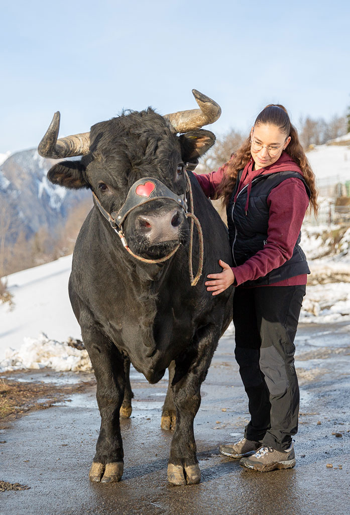 Mélanie Conseil ostéopathe animalier canton de Vaud Suisse