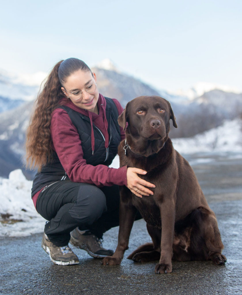 Ostéopathie animaux doméstique
